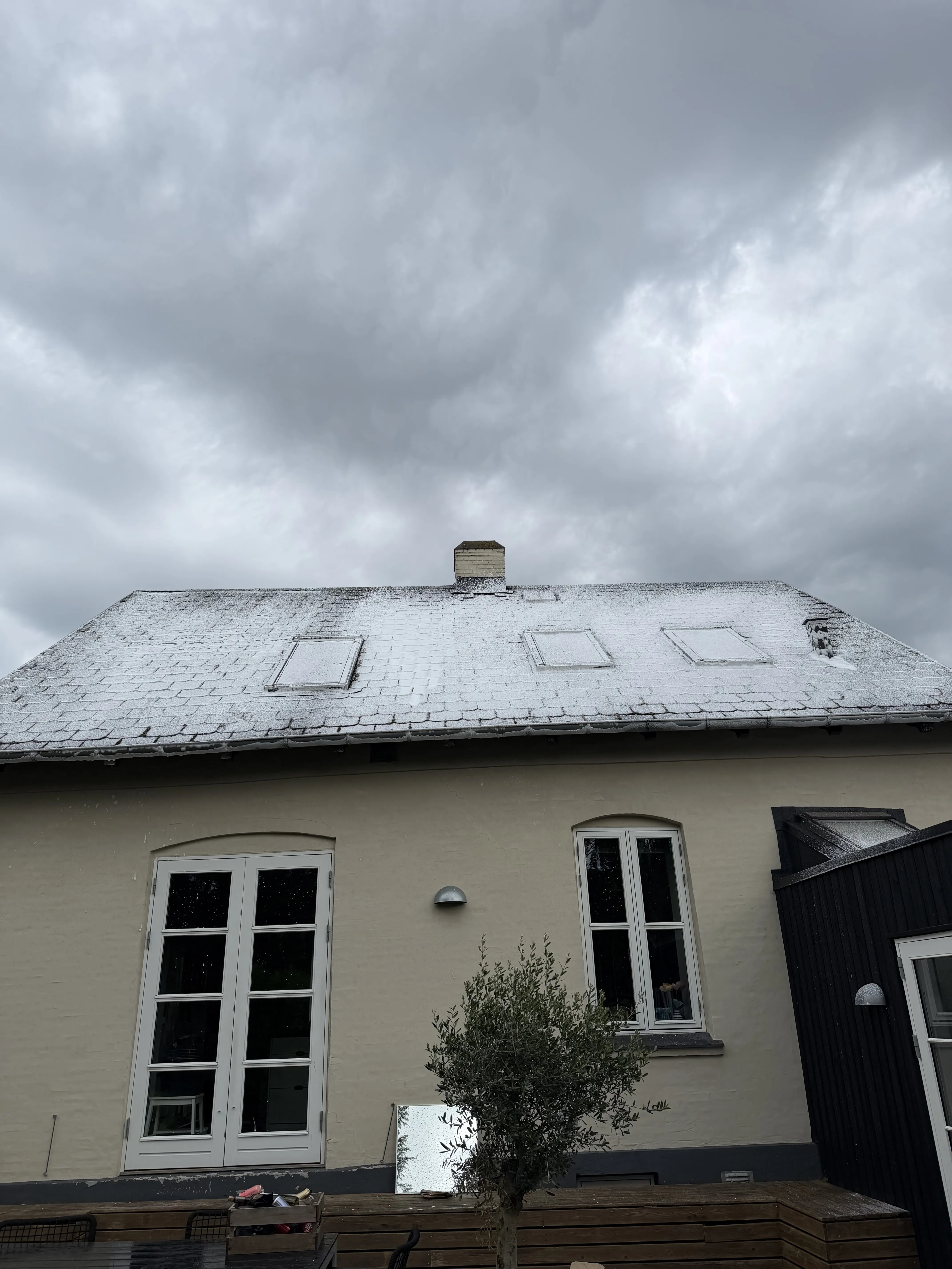 Algebehandling af tag udført af M.H. Ejendomsservice