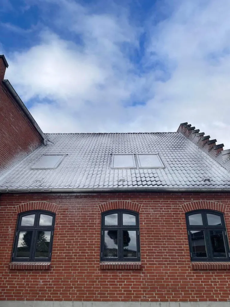 Algebehandling af tag udført af M.H. Ejendomsservice